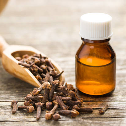 [1120021] Clove Bud Oil E801
